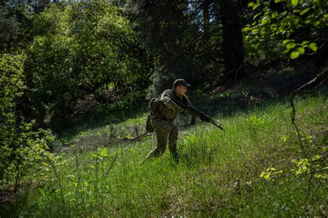 In Ukraine’s forests, soldiers race to get for next push